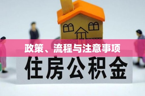 苏家屯政策、流程与注意事项