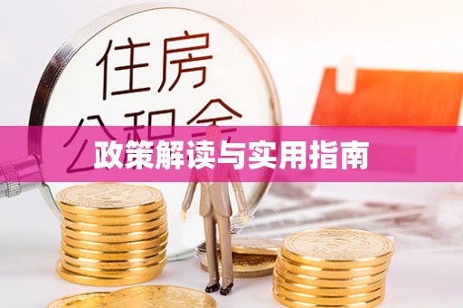苏家屯政策解读与实用指南