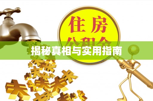 苏家屯揭秘真相与实用指南