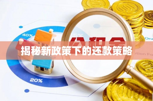 苏家屯揭秘新政策下的还款策略