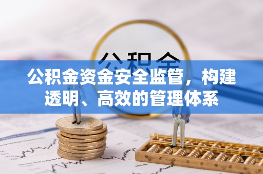 苏家屯公积金资金安全监管，构建透明、高效的管理体系