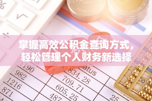 苏家屯掌握高效公积金查询方式，轻松管理个人财务新选择