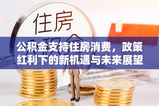 苏家屯公积金支持住房消费，政策红利下的新机遇与未来展望