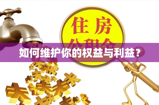 苏家屯如何维护你的权益与利益？