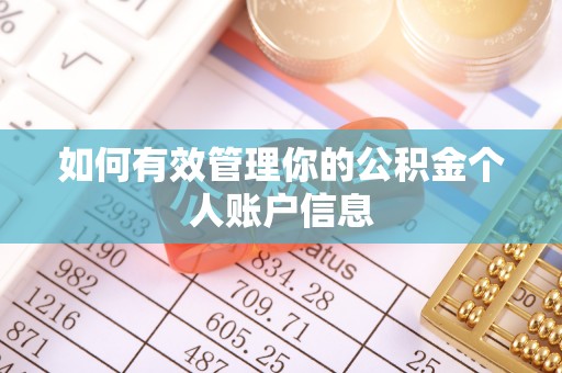 苏家屯如何有效管理你的公积金个人账户信息