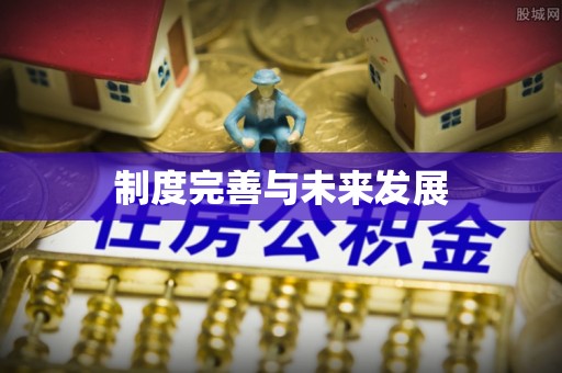 苏家屯制度完善与未来发展