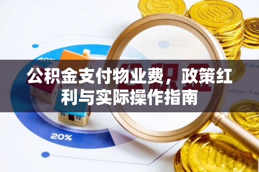 苏家屯公积金支付物业费，政策红利与实际操作指南