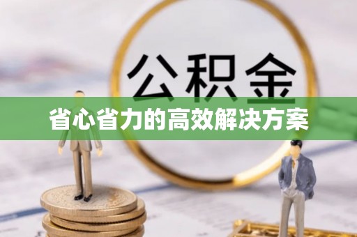 苏家屯省心省力的高效解决方案