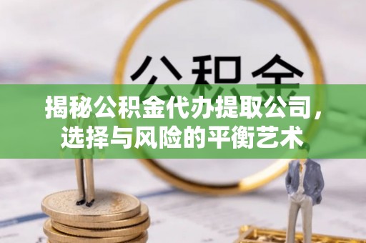 苏家屯揭秘公积金代办提取公司，选择与风险的平衡艺术