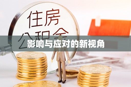 苏家屯影响与应对的新视角