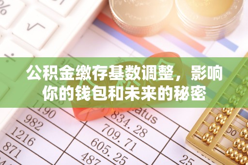 苏家屯公积金缴存基数调整，影响你的钱包和未来的秘密