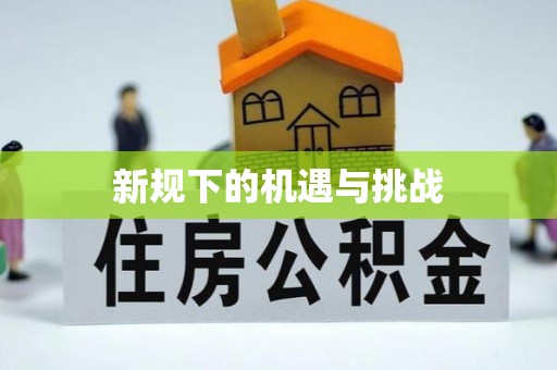 苏家屯新规下的机遇与挑战