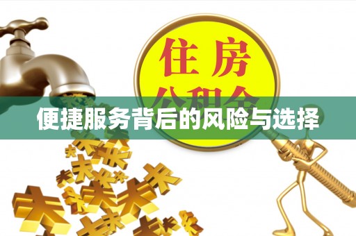 苏家屯便捷服务背后的风险与选择