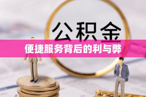 苏家屯便捷服务背后的利与弊