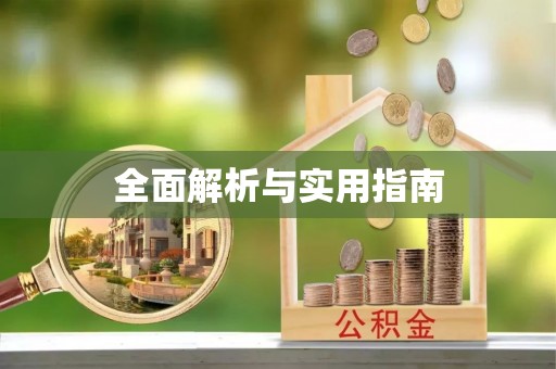 苏家屯全面解析与实用指南